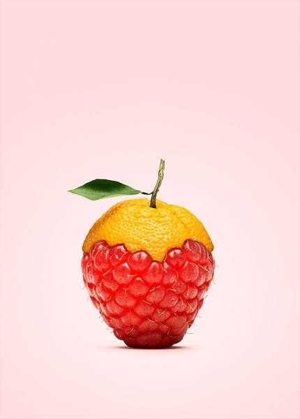 Photograph Mikkel Jul Hvilshoj Orange Raspberry on One Eyeland